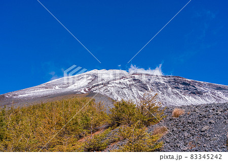 （静岡県）富士山・宝永火口・カラマツの紅葉と雪化粧した山頂 83345242
