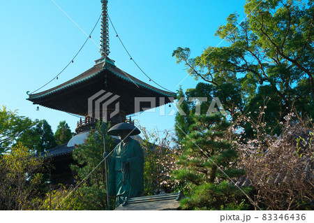 【四国八十八ヶ所】第十九番　立江寺　多宝塔と修行大師像と十月桜の花　徳島県小松島市 83346436
