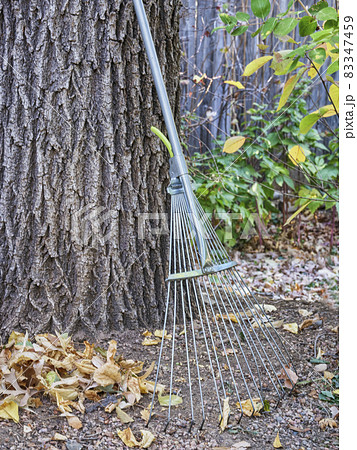 adjustable garden leaf rake 83347459