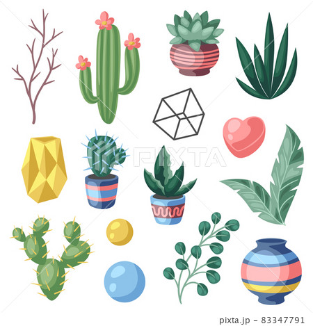 Set of cactuses and succulents. Decorative spiky flowering cacti and plants in flowerpots. 83347791