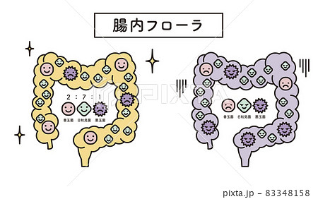 腸内フローラのイメージ