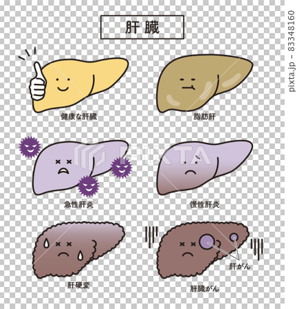 シンプル イラスト 肝臓 脂肪肝 慢性肝炎 急性肝炎 肝硬変 肝臓がんのイラスト素材