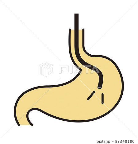 シンプル イラスト 胃カメラと胃のイラスト素材