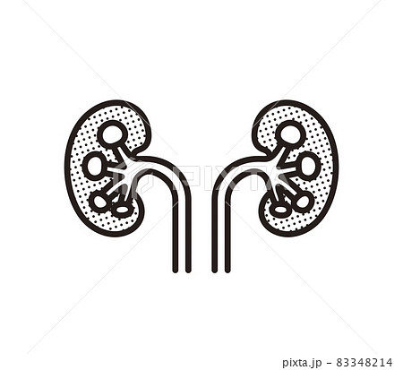シンプル イラスト 腎臓 シンプル イラスト 腎臓 83348214