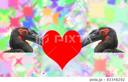 Valentine's Day, a card. Two large images of a black horned raven with red heart 83348292