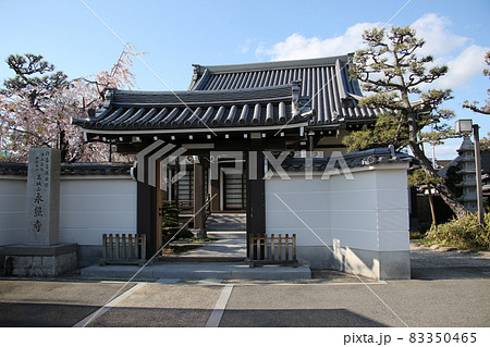 豊中市 桜塚街道 利倉地区の永照寺 正面から 豊中市 桜塚街道 利倉地区の永照寺 正面から 83350465