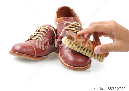 the horsehair brush 83350702