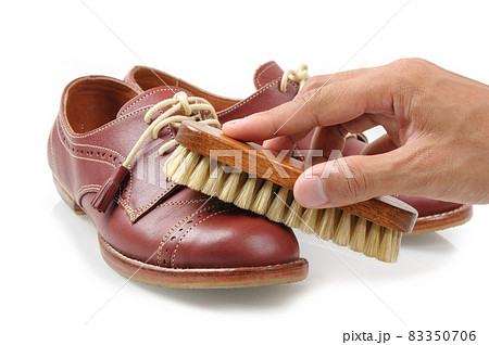 the horsehair brush 83350706