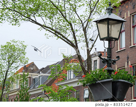 Delft in the Netherlands Delft in the Netherlands 83351427