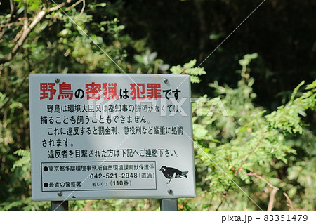 多摩地区の野鳥の密猟禁止の看板 多摩地区の野鳥の密猟禁止の看板 83351479