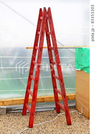 Ladder 83353303