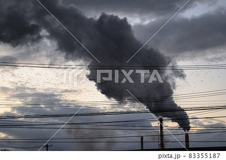 製紙工場の煙突からモクモクと出る煙と飛び交うムクドリの群れ　(早朝) 83355187