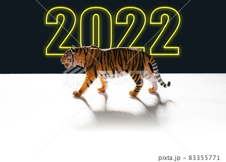 【2022年】寅年 イメージ【素材】 【2022年】寅年 イメージ【素材】 83355771