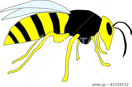 怖い蜂の横向きイラストのイラスト素材