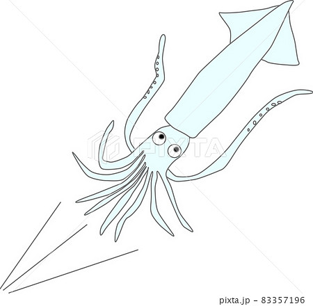 可愛いイカの出発のイラスト素材 可愛いイカの出発のイラスト素材