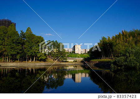 市街地の公園 緑豊かな公園 池 憩いの場 ニュータウン 市街地の公園 緑豊かな公園 池 憩いの場 ニュータウン 83357423