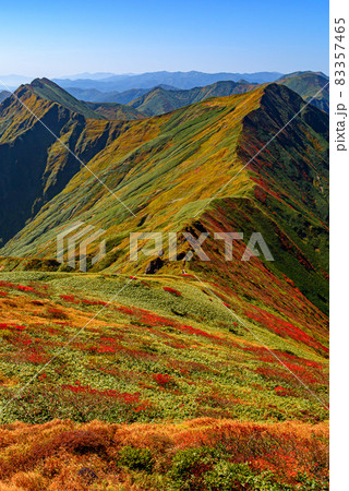 紅葉の山並み・谷川岳より望む上越国境稜線 紅葉の山並み・谷川岳より望む上越国境稜線 83357465