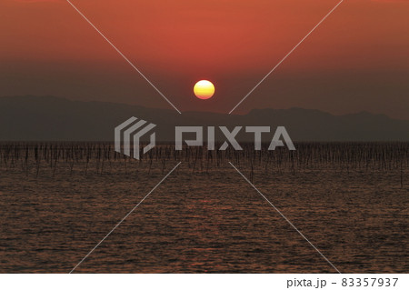 大牟田市 有明海 海苔畑の夕暮れ、 大牟田市 有明海 海苔畑の夕暮れ、 83357937