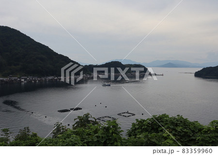 手前の草木の先に養殖いかだと観光船のある海と舟屋や民家の町の半島と遠くに霞む山々と曇り空の見える風景 83359960