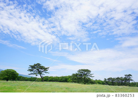 フル 屋外 室外 83360253