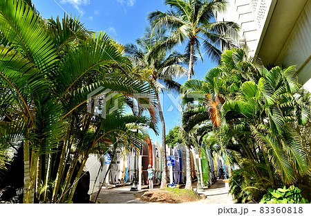 ハワイの休日 83360818