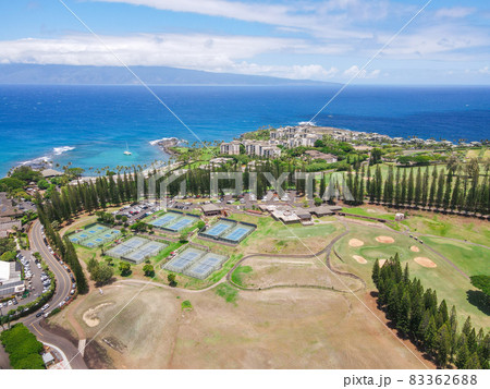 Aerial view of Kapalua coast in Maui, Hawaii 83362688