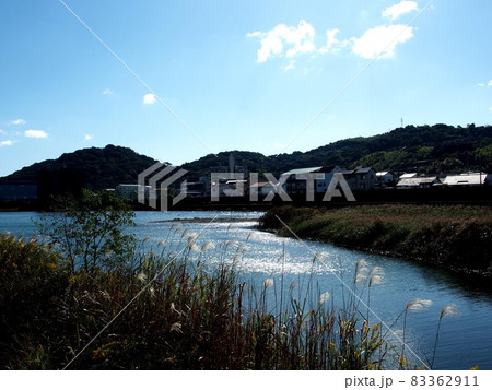 月の瀬橋すぐ下流の北岸から見た鏡川（龍馬少年のテリトリーだったはず…） 83362911