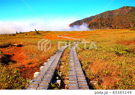 立山弥陀ヶ原　ラムサール条約登録湿地 83365149