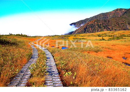 立山弥陀ヶ原　ラムサール条約登録湿地 83365162