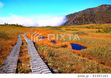 立山弥陀ヶ原　ラムサール条約登録湿地 83365163