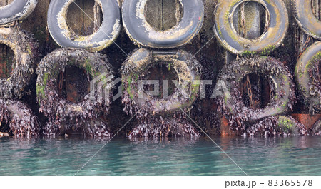 Harbour wall with old tyres for protection Harbour wall with old tyres for protection 83365578