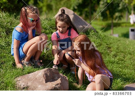 little kids look at hedgehog using magnifier 83366703