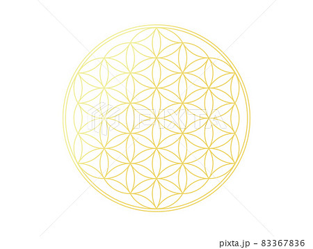 神聖幾何学模様 フラワーオブライフのイラスト素材 3676