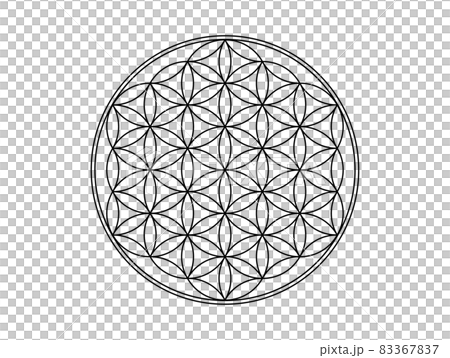 神聖幾何学模様　フラワーオブライフ 83367837