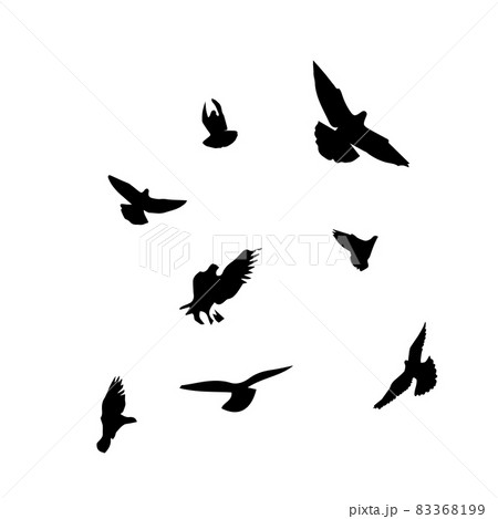 A flock of flying birds. Free birds. Vector illustration 83368199