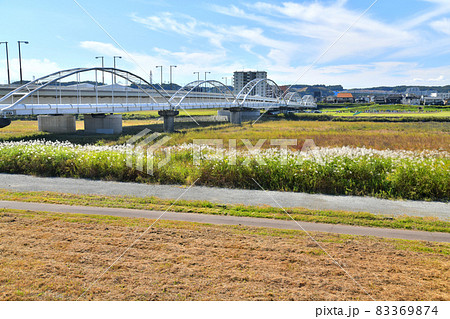 多摩川原橋(多摩川原水道橋)/多摩川を上流側より望む(東京都調布市)【2021.10】 多摩川原橋(多摩川原水道橋)/多摩川を上流側より望む(東京都調布市)【2021.10】 83369874
