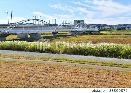 多摩川原橋(多摩川原水道橋)/多摩川を上流側より望む(東京都調布市)【2021.10】 多摩川原橋(多摩川原水道橋)/多摩川を上流側より望む(東京都調布市)【2021.10】 83369875