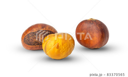 Brown chestnut on a white background. 83370565