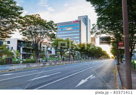 仙台 宮城野通 朝景 仙台 宮城野通 朝景 83371411