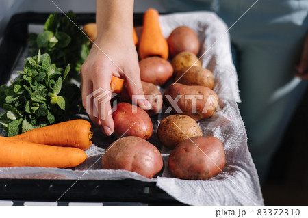 Woman's hand take potato from tray outdoor 83372310