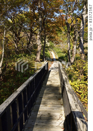 北海道豊浦町で国指定名勝ピリカカノカカムイチャシ史跡公園の風景を撮影 北海道豊浦町で国指定名勝ピリカカノカカムイチャシ史跡公園の風景を撮影 83372567