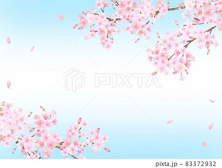 美しく華やかな満開の桜の花と花びら舞い散る春のフレームベクター素材イラスト 83372932