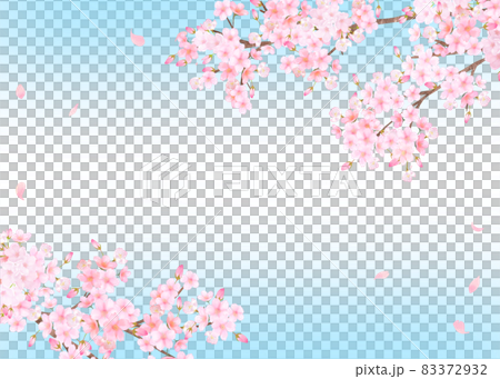 美しく華やかな満開の桜の花と花びら舞い散る春のフレームベクター素材イラスト 83372932