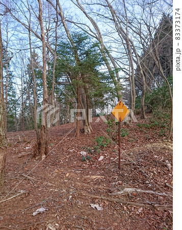 山の中の無地の標識 山の中の無地の標識 83373174