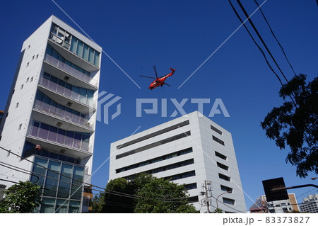 10月　渋谷434救急活動中の消防ヘリコプター(着陸時)と広尾病院(東京都立)･東京消防庁航空隊 83373827