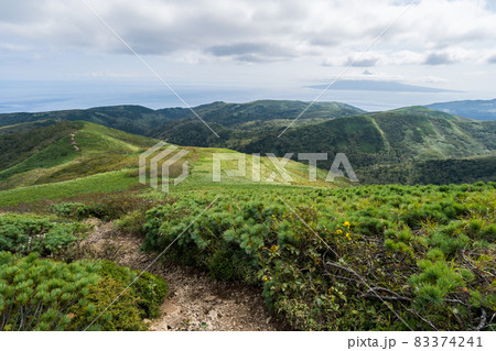 礼文岳 登山 (日本 - 北海道 - 礼文島) 礼文岳 登山 (日本 - 北海道 - 礼文島) 83374241