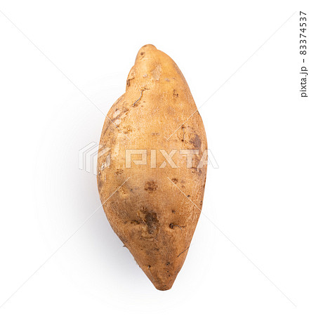 キリヌキ 切り抜き 白背景 83374537