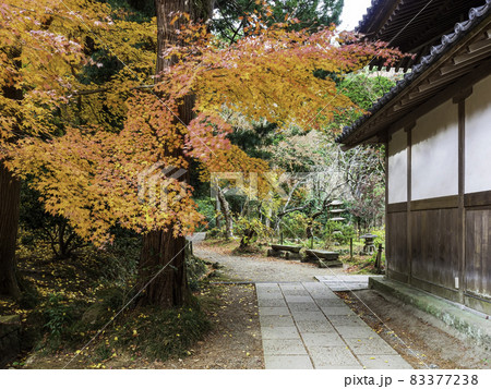 北鎌倉・浄智寺　境内の紅葉 83377238
