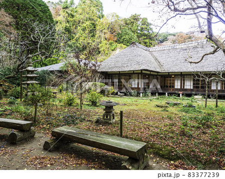 北鎌倉・浄智寺　書院と紅葉 83377239