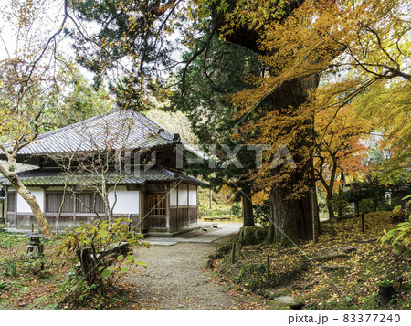 北鎌倉・浄智寺　本堂（曇華殿）と紅葉 83377240
